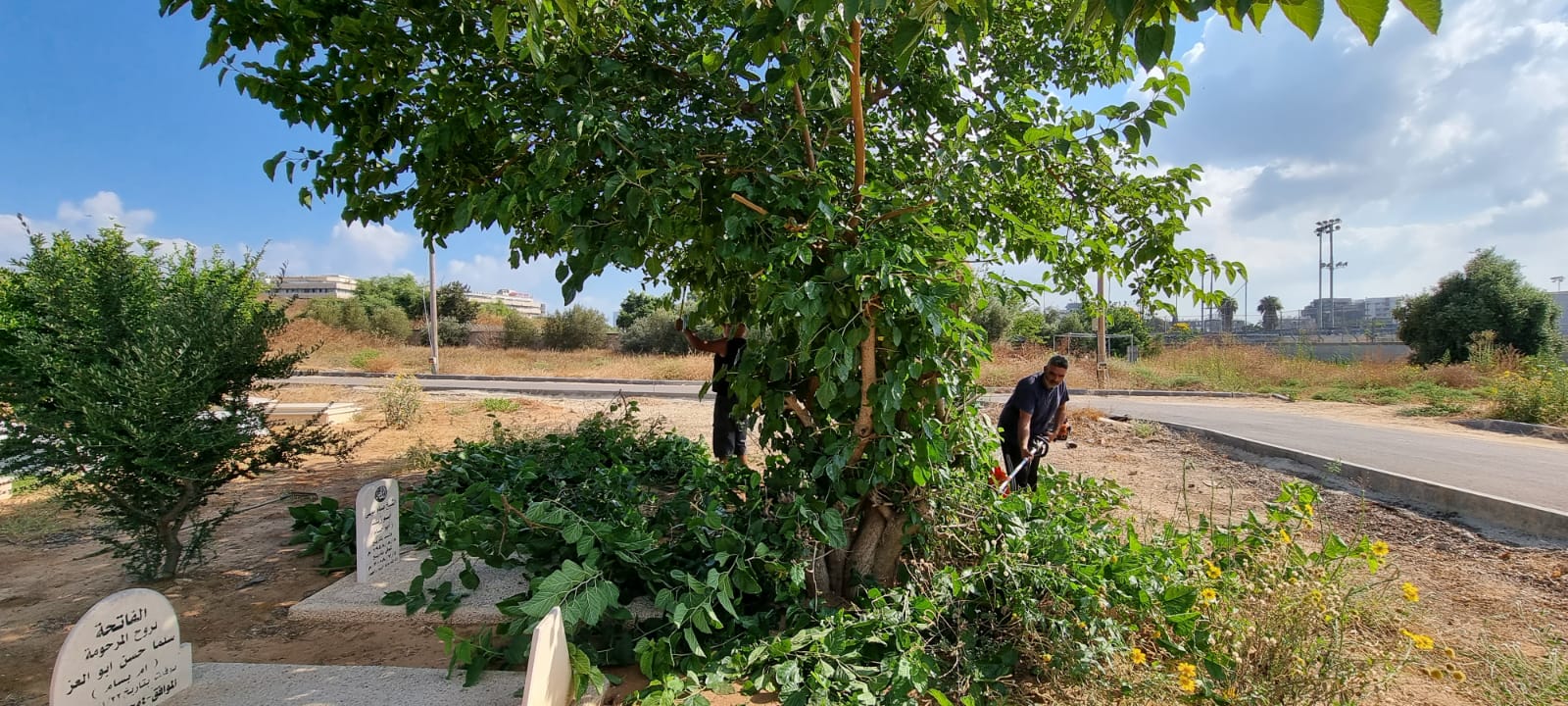 WhatsApp Image 2021-07-06 at 9.37.47 AM.jpeg